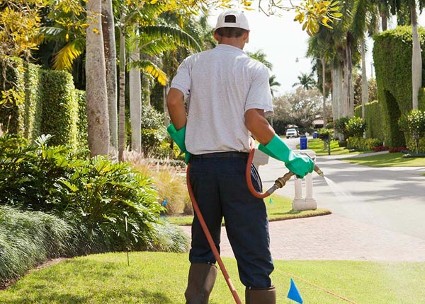 About Escalon CA Pest Control